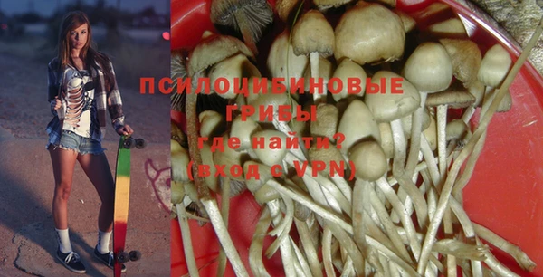гашик Наволоки