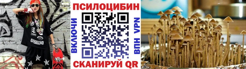 Псилоцибиновые грибы MAGIC MUSHROOMS  Купить где  Кодинск 
